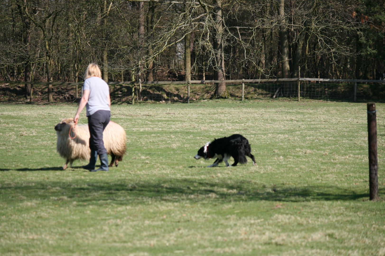 Jacqueline und Mika in Dendermond