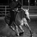 Jacs Golden Freckles - NRHA Bronze Trophy 2007