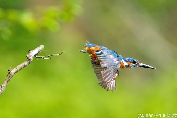 J'adore l'automne - Ich liebe den Herbst