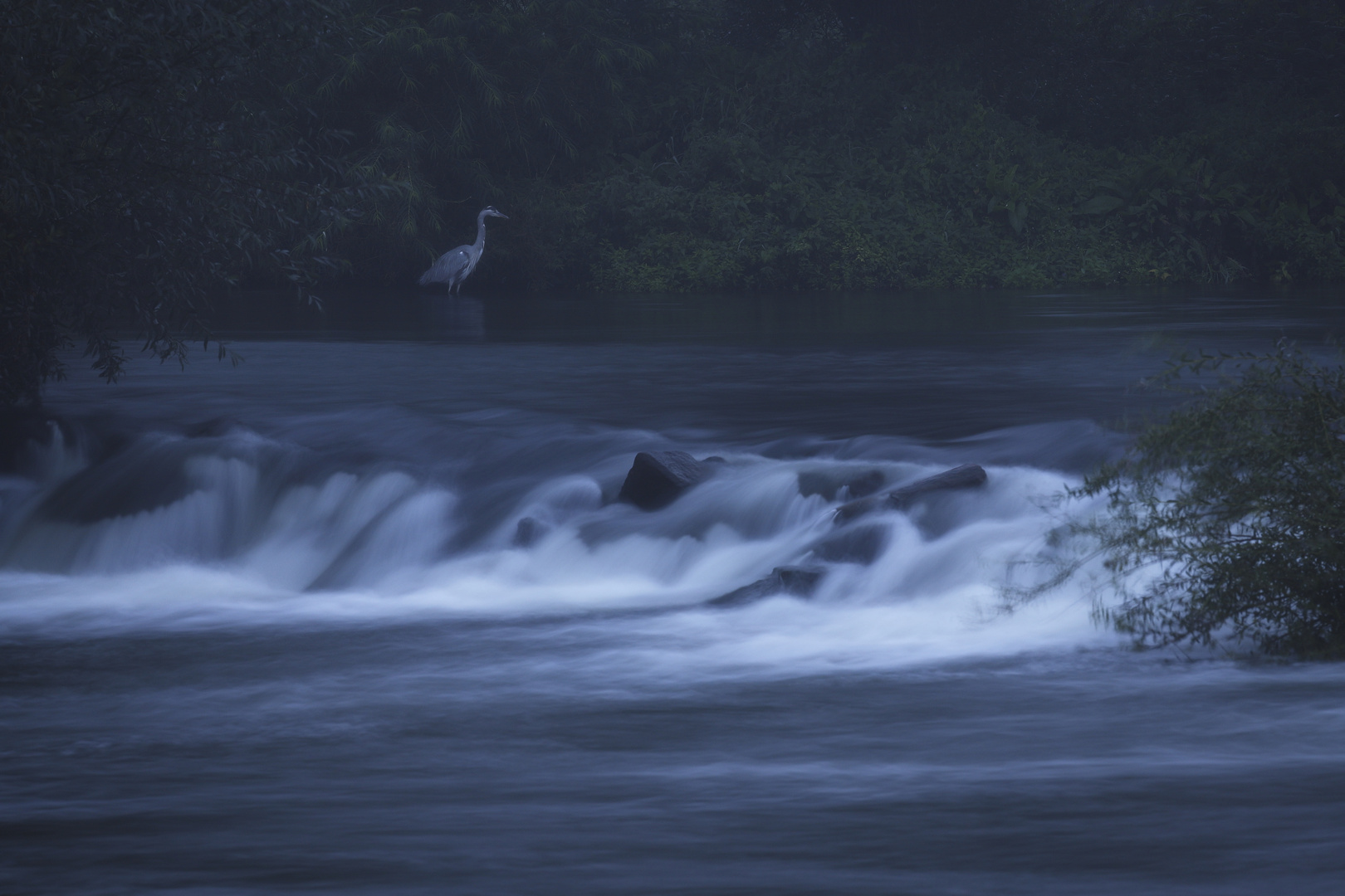 Jäger am Fluss