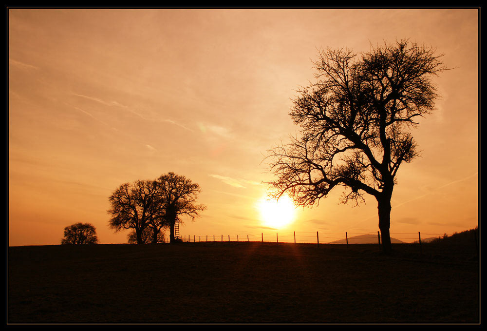 Jäger Hochsitz im Sonnenuntergang