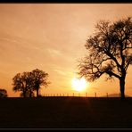 Jäger Hochsitz im Sonnenuntergang