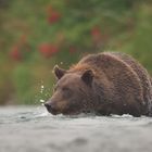 Jäger in der Flut