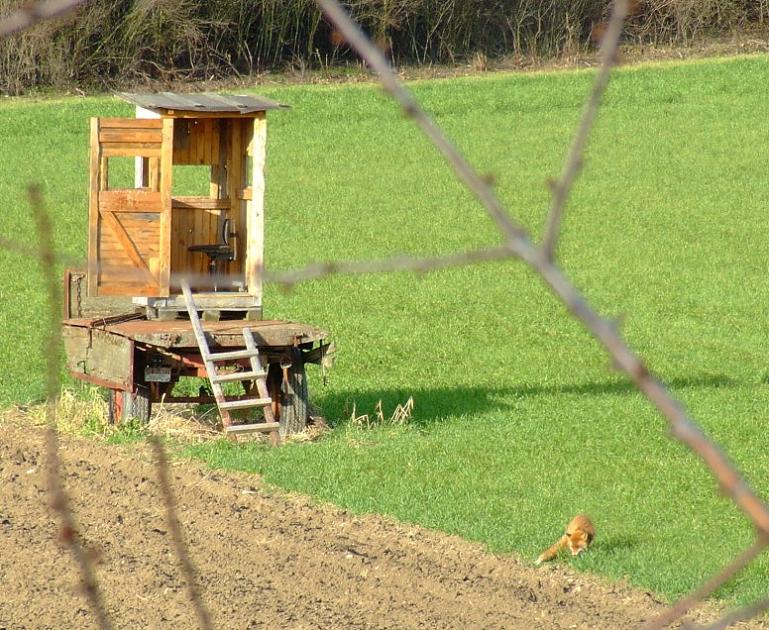 Jäger oder nicht?