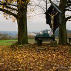 Jägerhof 1, s'herbsteld fei scho gscheit!