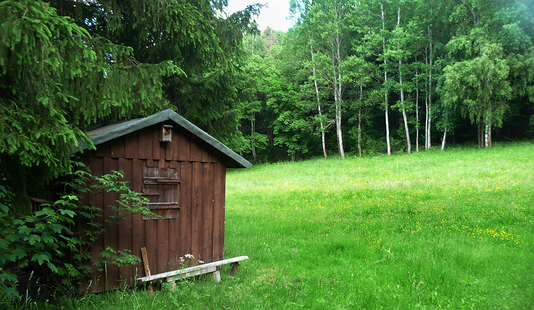 Jägerhütte