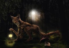 Jägerin der Nacht