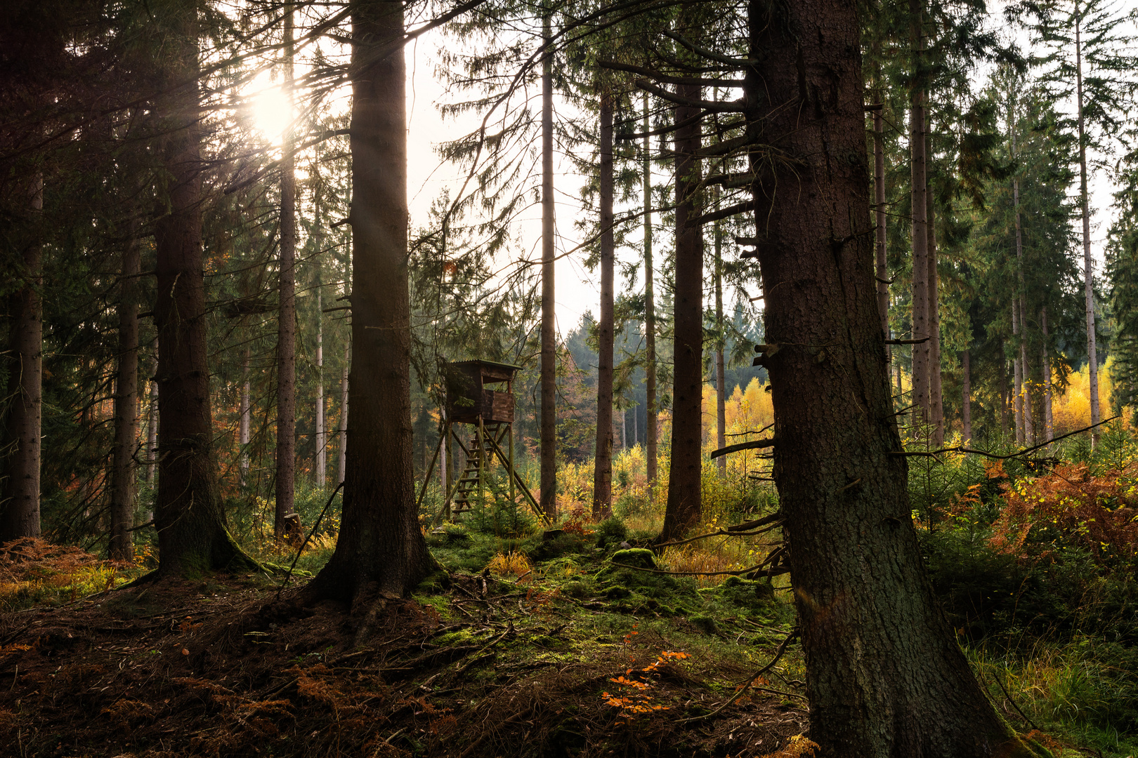 Jägermeister (Herbst in der Eifel)