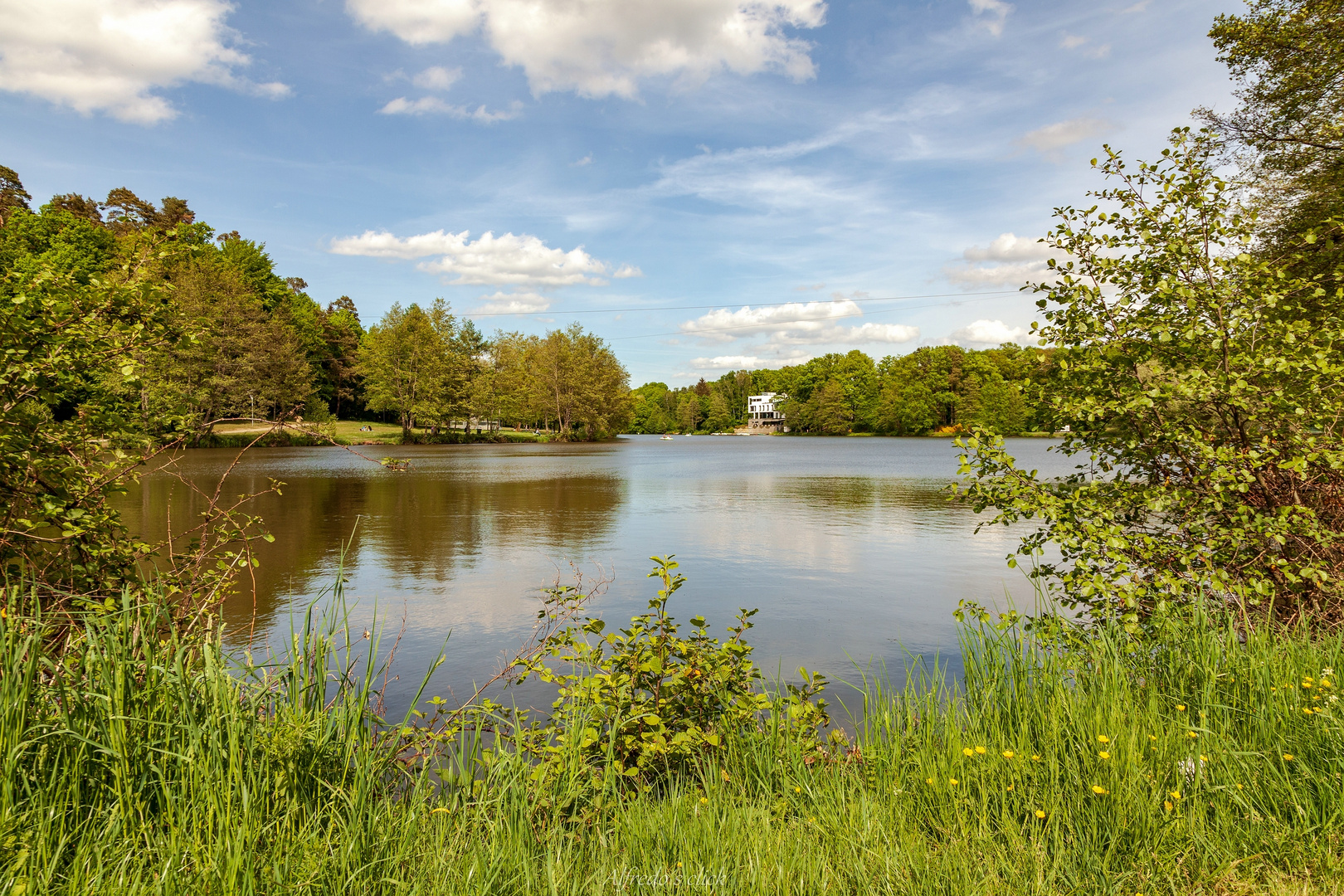 Jägersburger Weiher.