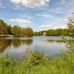 Jägersburger Weiher.