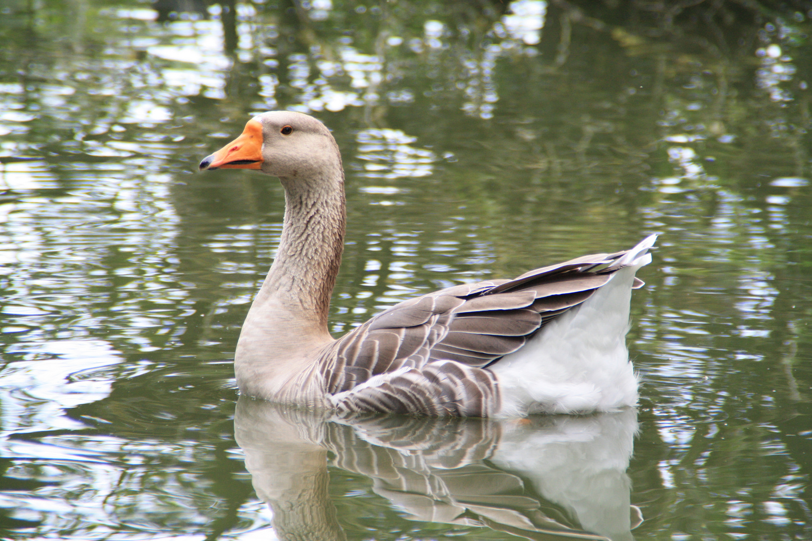 Jägersburger Weiher