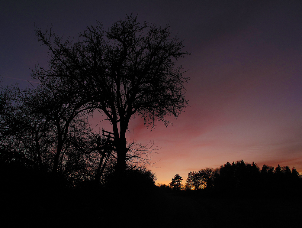 Jägersitz im Abendlicht