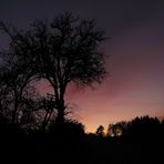 Jägersitz im Abendlicht