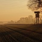 Jägersitz im Sonnenaufgang