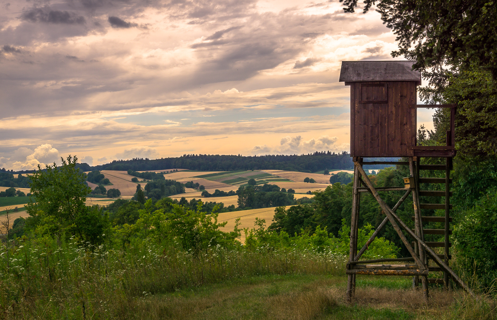 Jägersitz mit Weitblick