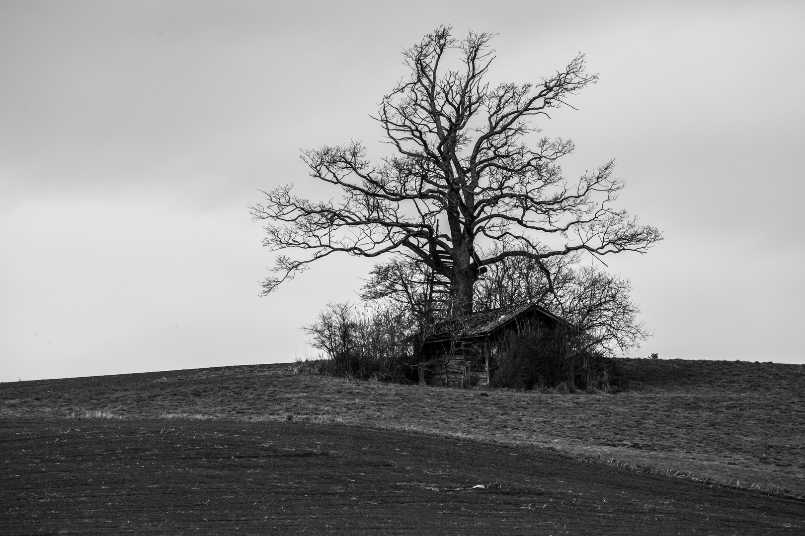 Jägerstand