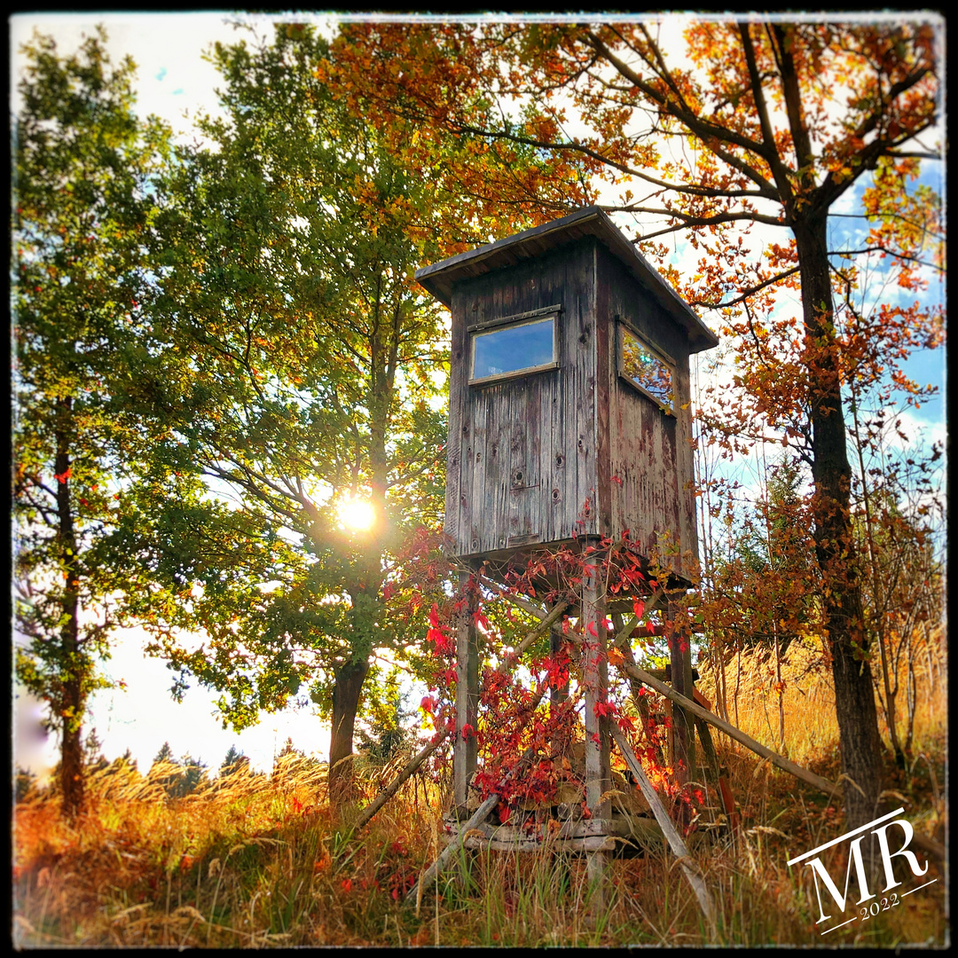 Jägerstand Foto & Bild fotos, wald, bäume Bilder auf