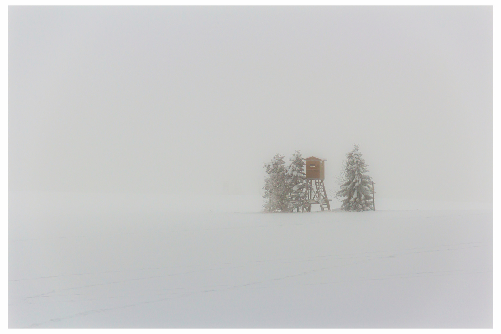 Jägerstand im Nebel 