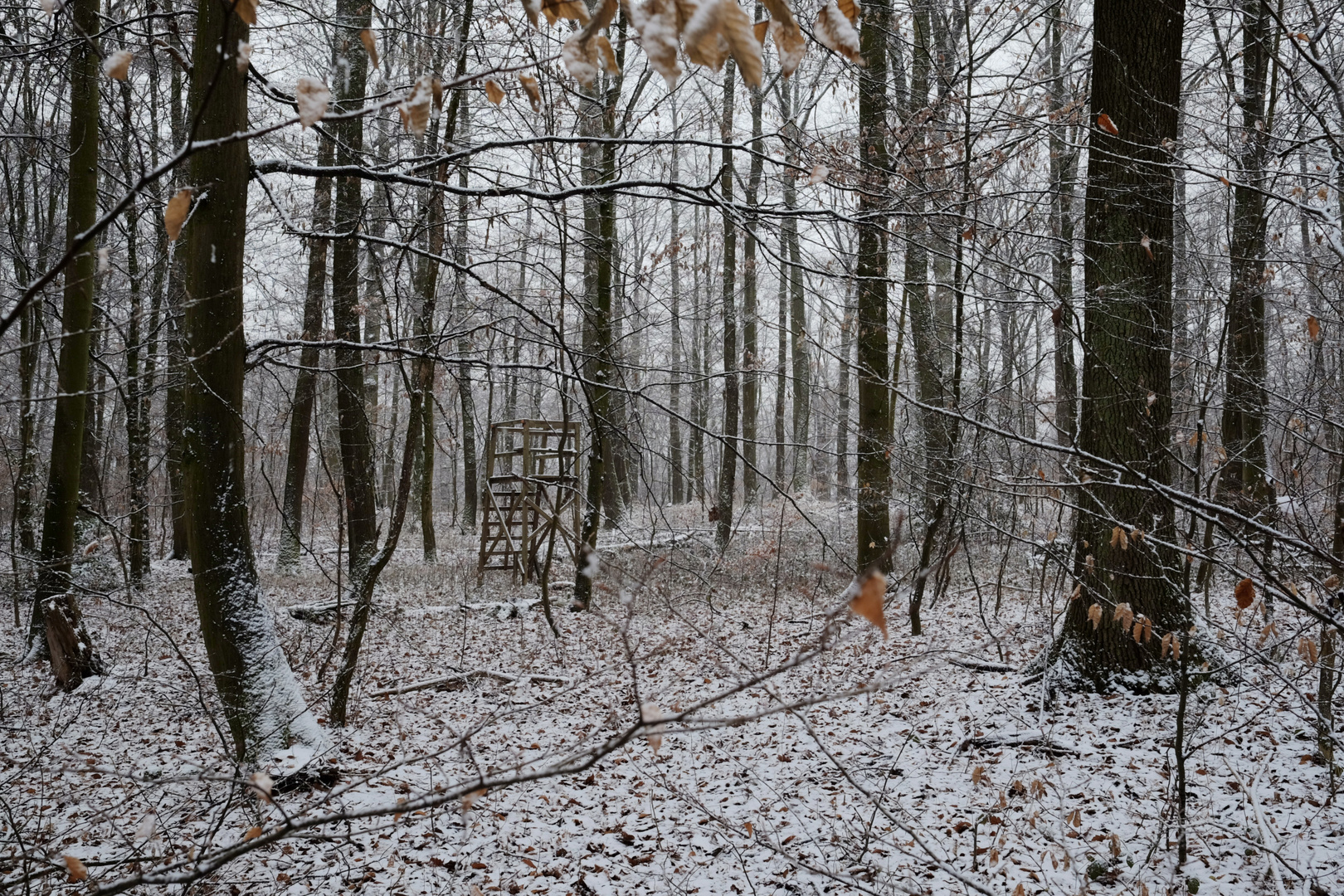 Jägerstand im Winterwald