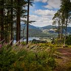 Jägersteig Premiumwanderweg Schluchsee