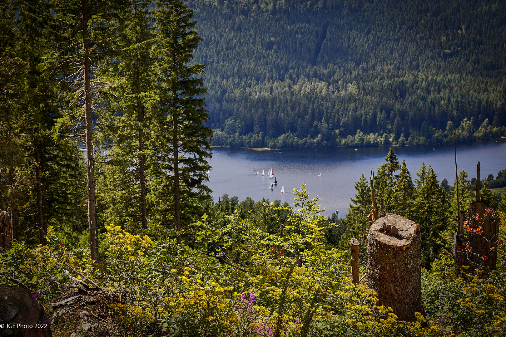 Jägersteig und Schluchsee schöne Kombi