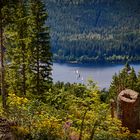 Jägersteig und Schluchsee schöne Kombi