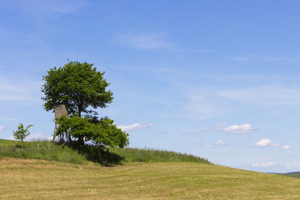 Jägerstuhl auf offener Wiese