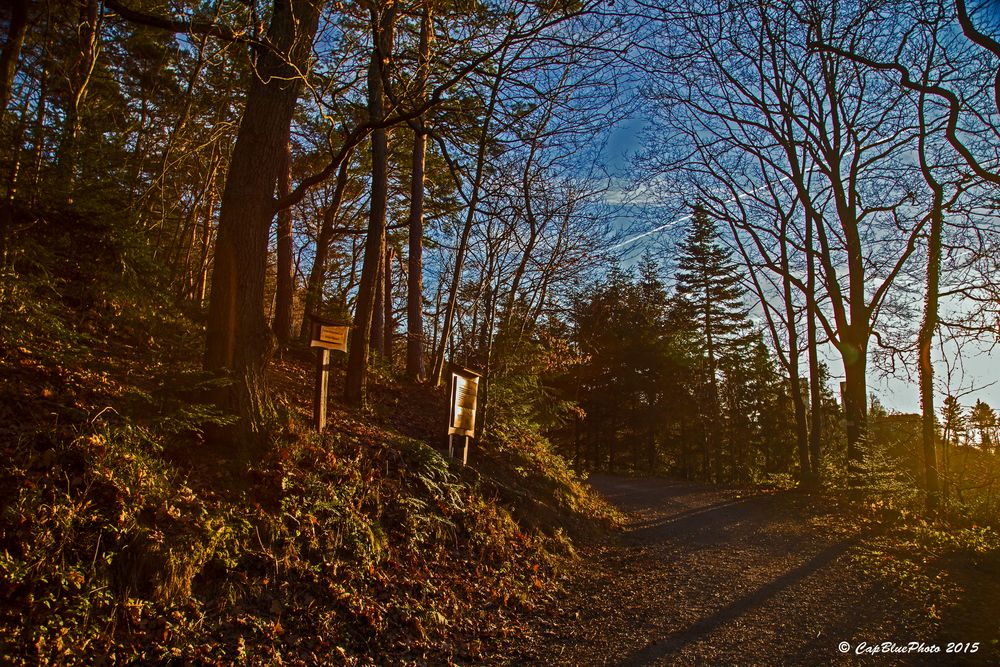 Jägerweg im Seitenlicht