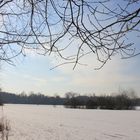 Jägerweiher im frostigen Kleid