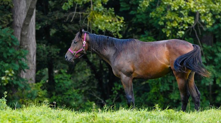  JÄHRLINGSPOWER PUR!