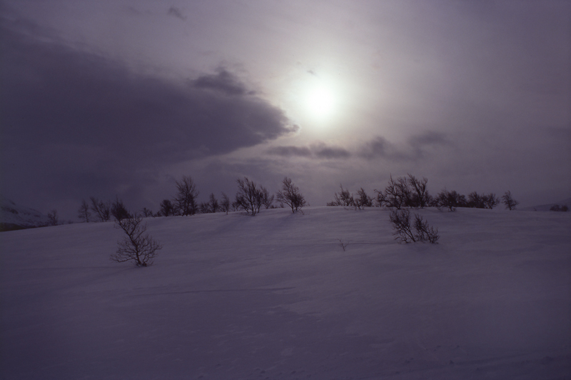 Jämtland 2008 #12