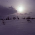 Jämtland 2008 #12