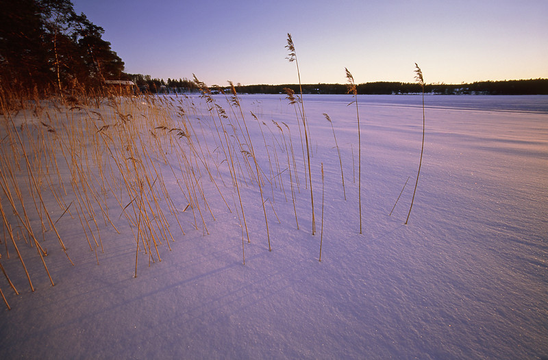 Jämtland 2008 #2