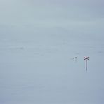 Jämtland 2008 #9