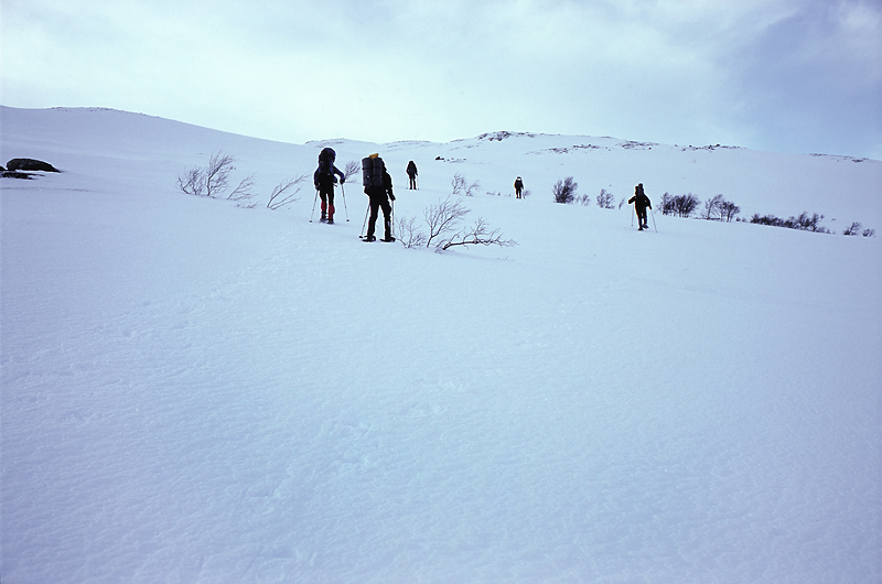 Jämtland mit Schneeschuhen #10