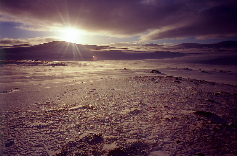 Jämtland mit Schneeschuhen #13