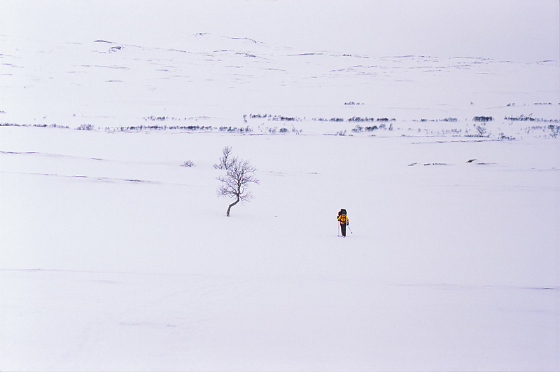 Jämtland mit Schneeschuhen #17