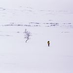 Jämtland mit Schneeschuhen #17