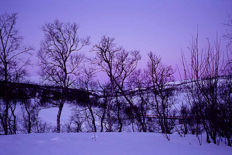 Jämtland mit Schneeschuhen #9