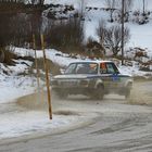 Jänner-Rallye 2014