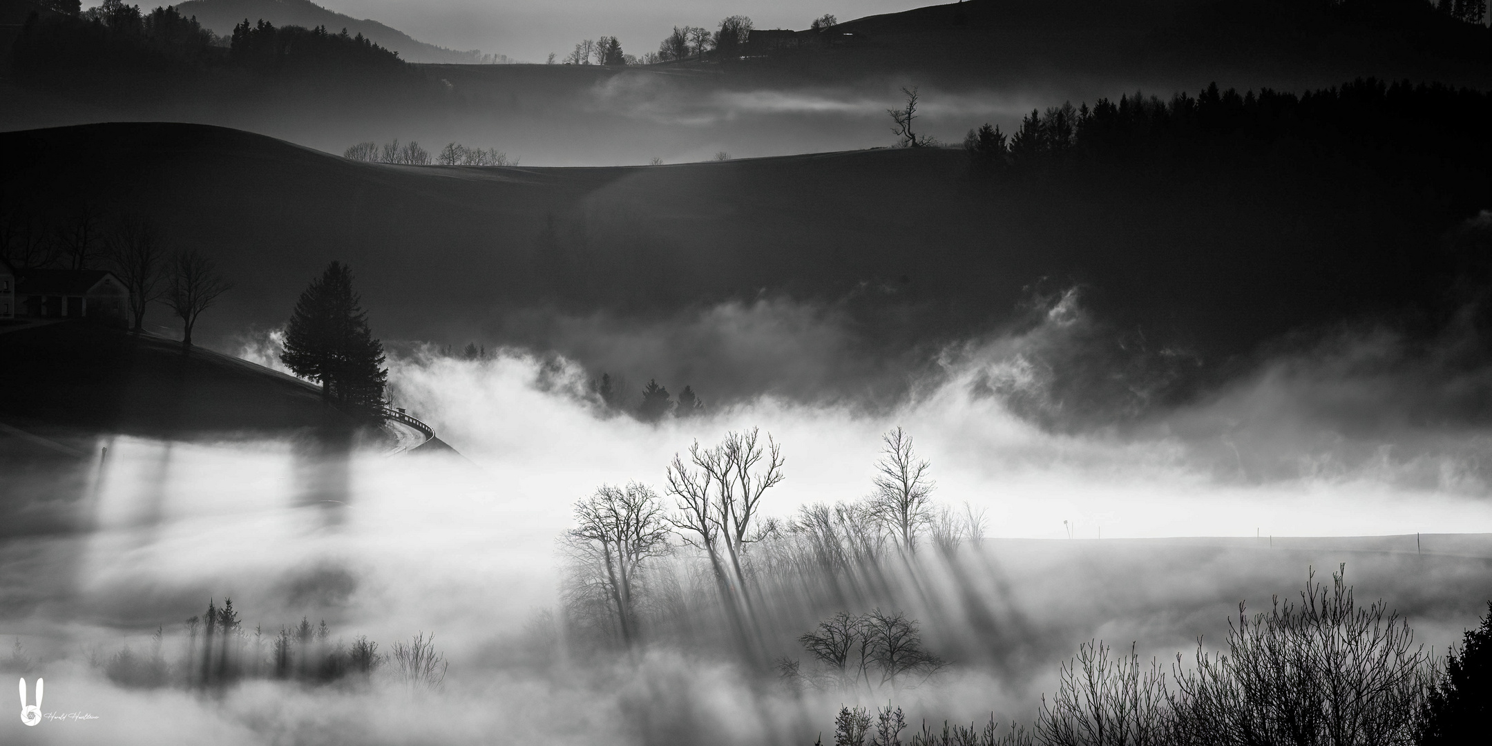 Jännernebel