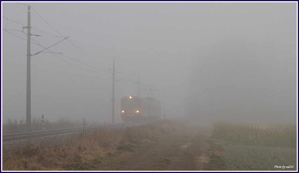 Jännernebel