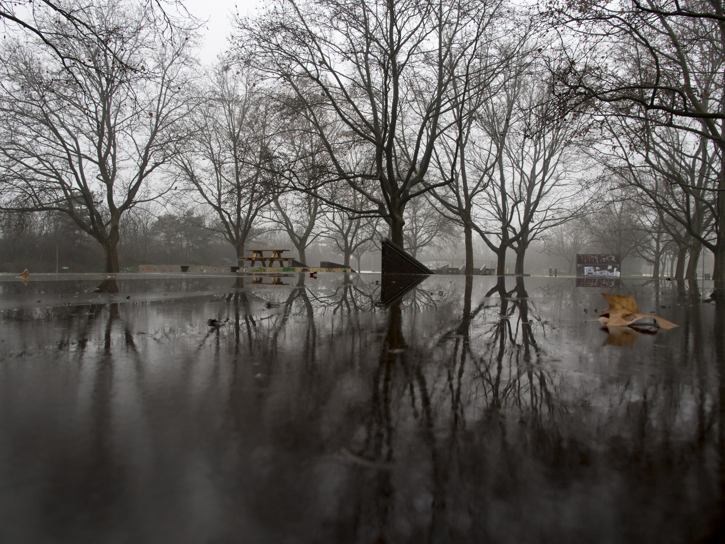 jännernebeltauwetter