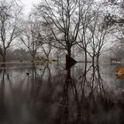 jännernebeltauwetter