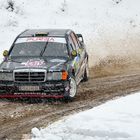 Jännerrallye 2015