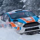 Jännerrallye 2015 - SP/SS/11/14 Gutau AZ25 - J. M. Raoux - Ford Fiesta R5