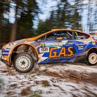 Jännerrallye Lasberg