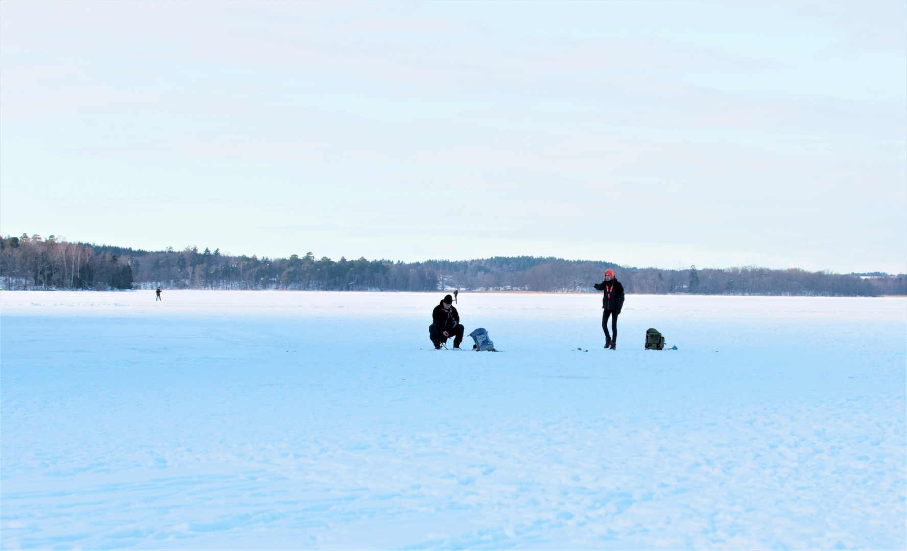 Järfällas Görvel