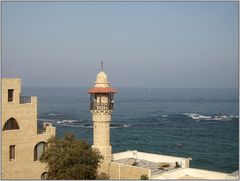 Jaffa