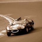 JAG D-Type